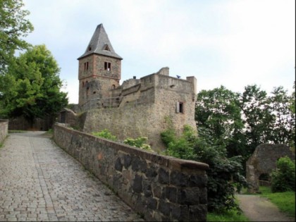 Фото: Burg Frankenstein